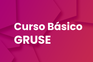 Curso basico GRUSE